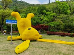 -穹窿山景区