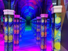 -天津梵高星空艺术馆(天河城旗舰店)