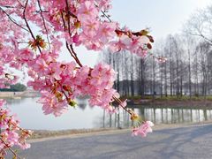 -上海辰山植物园