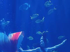 -华夏文旅西安度假区