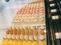 马卡龙-BLACKSWAN黑天鹅(环球店)