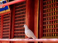 -潭柘寺景区
