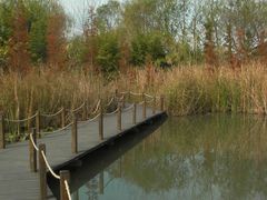 -溱湖国家湿地公园