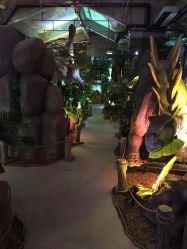 -恐龙探索乐园(磁器口店)