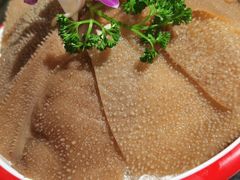 -大龙燚火锅(春熙店)
