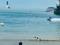 -海驴岛(荣成市)
