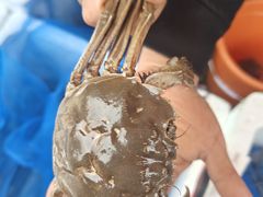 -马王堆海鲜水产市场