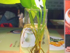 -炖物24章·顺时轻养茶(杭州大厦店)