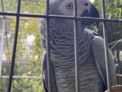 -宁波野生动物园