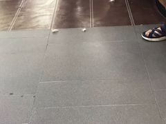 -联合动物医院(光谷诊疗中心)