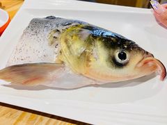 -铭记蛙小仙·活蛙畅享(CBD万达广场店)