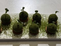 -荟廷·晶萃(静安寺店)