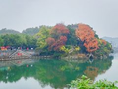 -溪口-滕头旅游景区