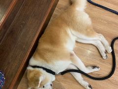 -YCHL Studios健身工作室(市二宫店)