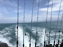 -小猫钓鱼海钓俱乐部(椰梦长廊店)