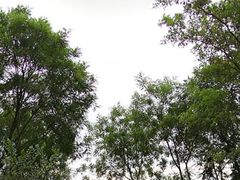 -绿堤公园
