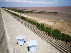 -南汇嘴观海公园