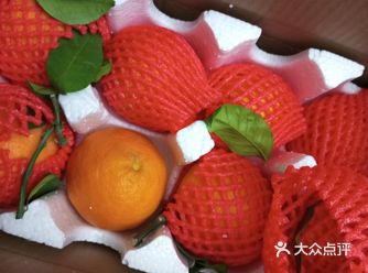 这道美食真是让人赞不绝口