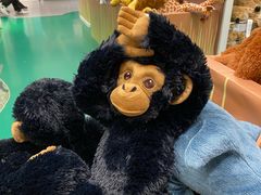 -IKEA宜家家居(南京商场)