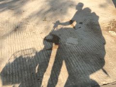 -羚羊峡古栈道森林公园
