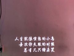 -成都失恋馆
