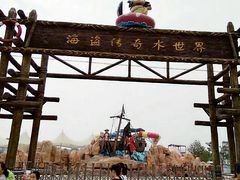 -海盗传奇水世界