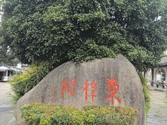 -东梓关景区村庄