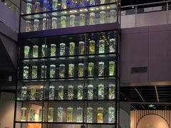 -广东中医药博物馆