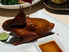 -侨美食家·粤菜(体育西路店)