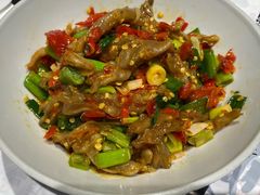 鸭掌筋-壹盏灯(惠农店)