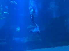 -太平洋海底世界