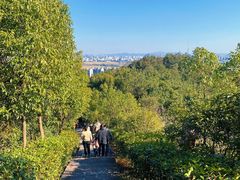 -宁波市保国寺古建筑博物馆
