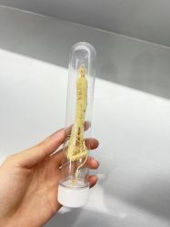-Deeplus+韩国皮肤管理한국피부관리·C:Lab肌肤实验室