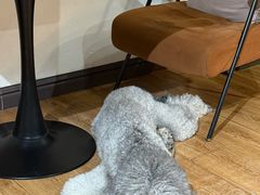 -沏点Trattoria意大利餐厅(新街口店)