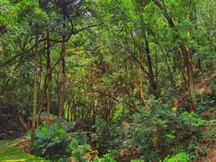 -飞霞风景名胜区