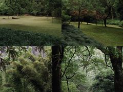 -武夷山风景名胜区-玉女峰