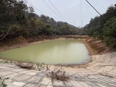 -青龙山国家森林公园