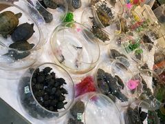 -苏州艺都古玩花鸟市场