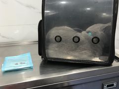 -伟伟宠物医院·CT影像中心·瑞派犬猫综合性门诊(汉口总院)