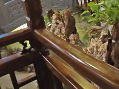 -庭院小酌(瑞莲街店)