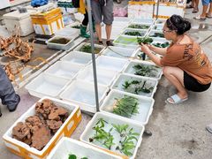 -华声天桥民俗文化园