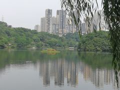 -重庆彩云湖湿地公园