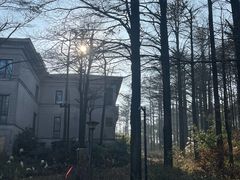 -四明山国家森林公园