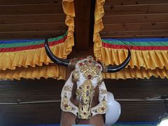 -银同牦牛肉火锅