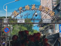 -溪岸路花鸟市场