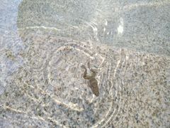 -思念果岭悦温泉