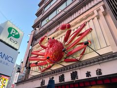 -蟹道乐(道顿堀本店)
