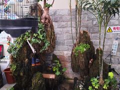 -丽江庭院之丽江往事(安定门店)