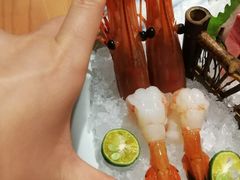 牡丹虾-吟松日式料理(莘庄店)
