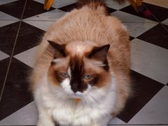 -seeu coffee(江滩店)